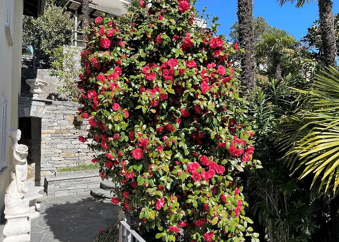 Dora Attika By Fewotessin * Locarno