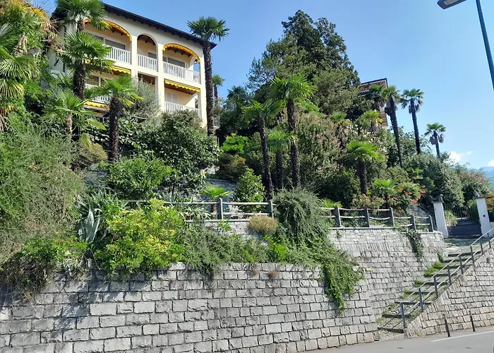 Dora Attika By Fewotessin * 洛迦诺